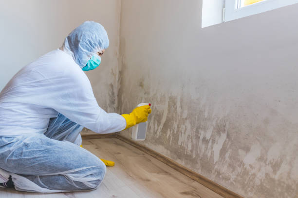 Commercial Mold Remediation assessment for commercial property in Red Bank